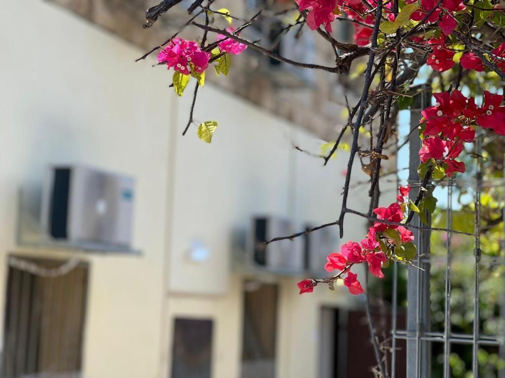 Aparthotel Godson Talpiot Haifa Exteriér fotografie